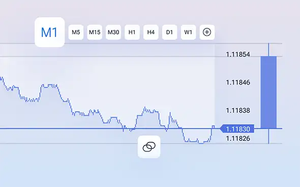 Erkių lygio tikslumas